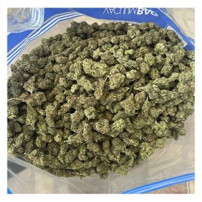 greenhouseharley