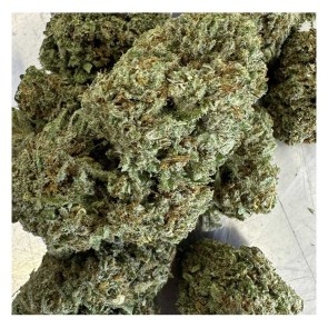 greenhousespecial1
